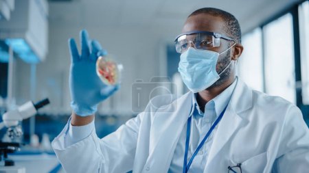 Téléchargez les photos : African American Male Scientist Wearing Face Mask and Glasses Looking at Petri Dish with Genetically Modified Sample Chemicals. Microbiologiste travaillant dans un laboratoire moderne avec des équipements technologiques - en image libre de droit