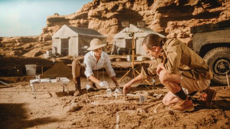 Foto de Sitio de excavación arqueológica: Dos grandes paleontólogos descubrieron restos fósiles de dinosaurio prehistórico, límpielo con cepillos. Arqueólogos trabajan en el sitio de excavación, descubren nuevos huesos de especies - Imagen libre de derechos