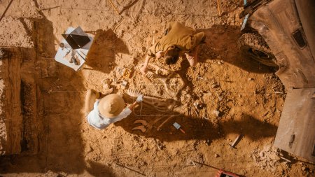 Photo for Top-Down View: Two Great Paleontologists Cleaning Newly Discovered Dinosaur Skeleton. Archeologists Discover Fossil Remains of New Species. Archeological Excavation Digging Site. - Royalty Free Image