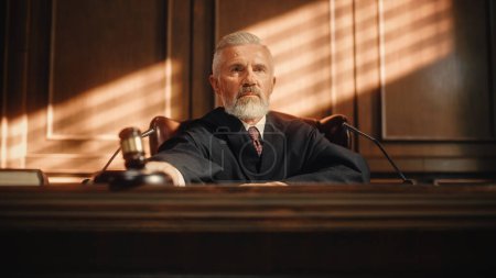 Court of Law Trial: Portrait of Impartial Judge Reading Decision, striking Gavel. Justice Pronouncing Sentence. Judgment after Deliberation. Guilty, Not Guilty Verdict. Concept Rule of Law
