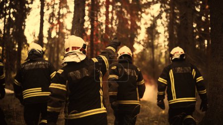 Schuss einer Gruppe von Feuerwehrleuten bei der Untersuchung einer Brandquelle tief in einem Waldstück. Erfahrene Feuerwehrleute schaffen es rechtzeitig, bevor sich Flammen ausbreiten