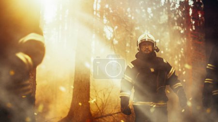 Multikulturelle Gruppe von Feuerwehrleuten, die in einem verrauchten Wald mit sich ausbreitendem Flächenbrand spazieren. Staffelleiter beurteilt Ausmaß der Katastrophe. Nachdenken über