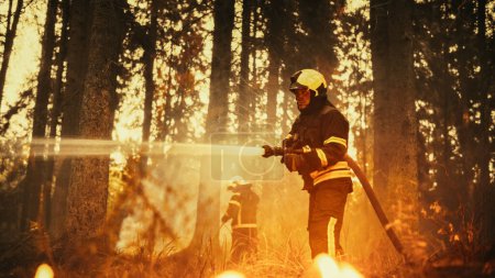 Porträt eines ansehnlichen Berufsfeuerwehrmanns, der einen Waldbrand methodisch mit Hilfe eines Feuerwehrschlauchs löscht. Feuerwehr-Rettung