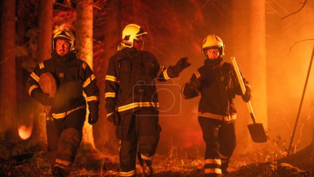 Professionelle Feuerwehrleute gehen in einem verrauchten Wald spazieren und kontrollieren einen Waldbrand, bevor er sich ausbreitet. Team aus drei Ersthelfern bleibt