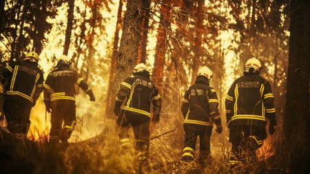 Trupps der Freiwilligen Feuerwehr mit Sicherheitsausrüstung und Uniform umkreisen einen wütenden Waldbrand, bevor der Brand völlig außer Kontrolle gerät. Feuerwehr