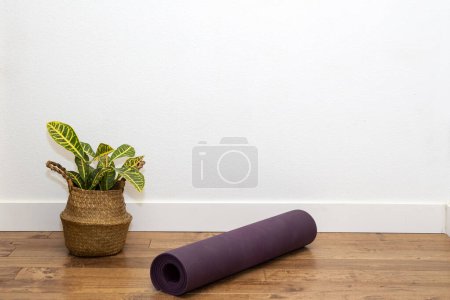 Téléchargez les photos : Queue de cheval Palmier dans le panier planteur avec tapis de yoga contre le mur blanc - en image libre de droit