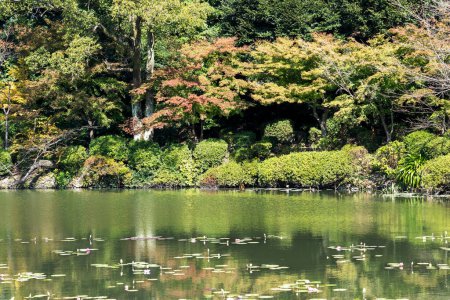 Foto de The pond filled with water lilies and Victoria Amazonica at Umijigoku in Beppu, Japan - Imagen libre de derechos