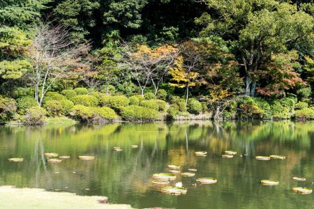 Foto de The pond filled with water lilies and Victoria Amazonica at Umijigoku in Beppu, Japan - Imagen libre de derechos