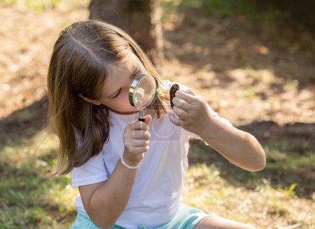 Curious school age child looking at a pine cone through a magnifying glass, holding a loupe. Outdoors shot, curiosity, nature exploration, kids environmental education simple concept, people lifestyle