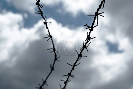 Photo for Dark barbed wire lines on a dramatic grey blue sky background, captivity, jail or prison, labor or concentration camps abstract concept, nobody. Old barb wire with sharp edges, lack of freedom, fence - Royalty Free Image