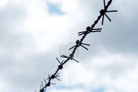 Silhouette de clôture en fil de fer barbelé à travers le cadre, sur fond de ciel nuageux, contraste élevé. Emprisonnement, prison, prison, zone de camp de travail concept abstrait symbole, personne. Manque de liberté