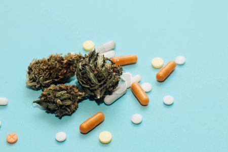 Marihuana medicinal, inflorescencias de planta de hierba shinki con mazo de juez y pastillas.