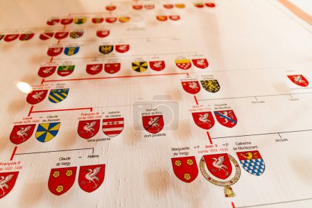 Photo for Lineage chart showing heraldic devices for a royal family on exhibit in a museum in a close up low angle view - Royalty Free Image