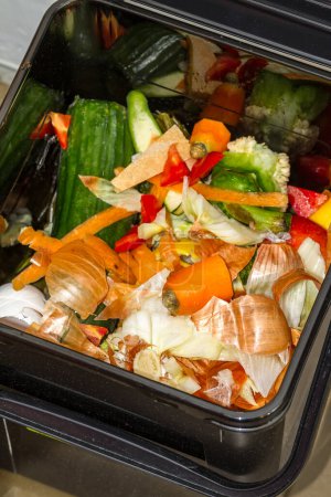 Foto de Alimentos desechados en un cubo de basura listo para el compostaje, incluyendo restos de pepino, peladuras y tapas de zanahoria, pieles de cebolla, pimientos, lechuga y tomates - Imagen libre de derechos