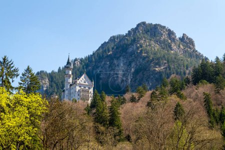 Photo for Scenic view of Neuschwanstein Castle, Bavaria, Germany. - Royalty Free Image
