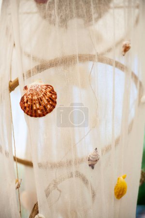 Téléchargez les photos : Un fond de coquillages sur un filet de pêche. . - en image libre de droit