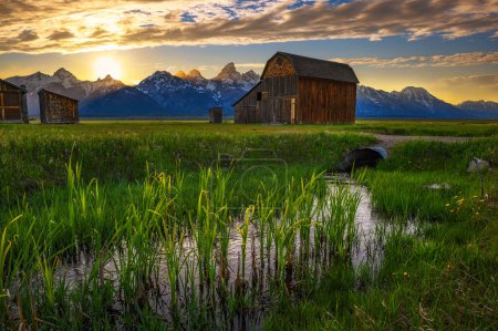 Téléchargez les photos : Coucher de soleil estival sur la grange historique Thomas Murphy à Mormon Row dans le parc national Grand Teton, avec une chaîne de montagnes Teton enneigée en arrière-plan et un cours d'eau au premier plan. - en image libre de droit