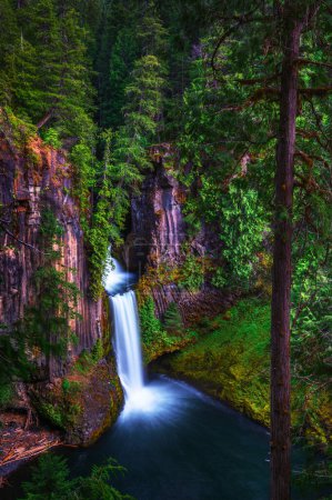Foto de Toketee Falls on the North Umpqua River located in Douglas County, Oregon. - Imagen libre de derechos
