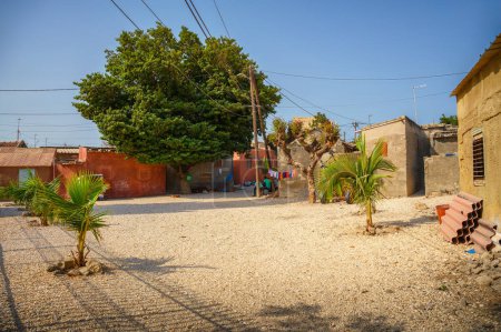Escena callejera típica en Joal Fadiouth, un pintoresco pueblo senegalés en una isla de concha única con una vibrante vida comunitaria.