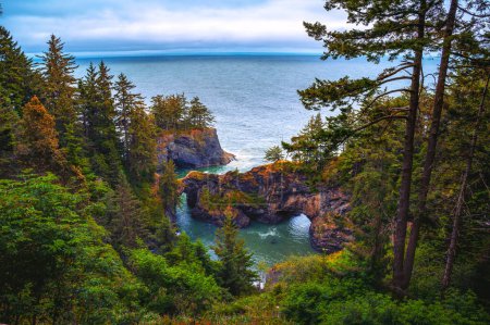 Lush greenery surrounds a natural rock arch over a coastal inlet in Samuel H. Boardman State Scenic Corridor in Oregon, USA. Majestic sea stacks and dense forests dominate the landscape at this park.