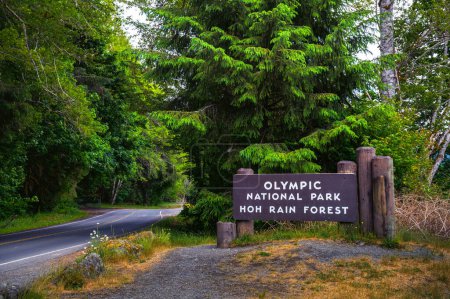 Welcome sign at the entrance to Olympic National Park Hoh Rain Forest by a roadside with trees in Washington State, USA.