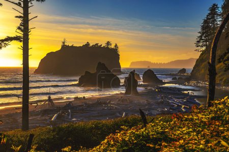 Colorful sunset at Ruby Beach with piles of deadwood and sea stacks in Olympic National Park, Washington state, USA