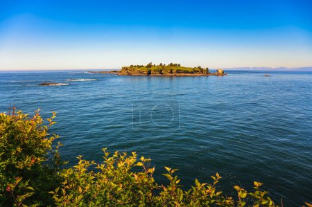 Vue de l'île Tatoosh depuis le pont d'observation du cap Flattery dans l'État de Washington, États-Unis. Cape Flattery est le point le plus au nord-ouest des États-Unis contigus.