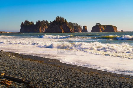 Rialto Beach avec des piles de mer dans l'État de Washington. Rialto Beach, situé dans le parc national olympique, est situé au nord de La Push, la résidence des tribus Quileute.