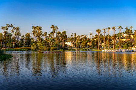 Echo Park Lake mit Tretbooten und Palmen in Los Angeles, Kalifornien, fotografiert bei Sonnenuntergang
