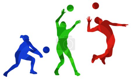 Set of silhouettes of volleyball players on white background. Isolated vector colored images. Abstract blue, green and red vector image of sportsmen. Poster 645369890