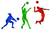 Set of silhouettes of volleyball players on white background. Isolated vector colored images. Abstract blue, green and red vector image of sportsmen. Poster #645369890
