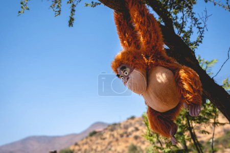 Téléchargez les photos : Singe en peluche orange suspendu dans la branche d'un arbre dans la colline par une journée ensoleillée avec ciel bleu et espace de copie - en image libre de droit