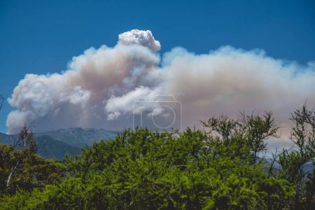 Téléchargez les photos : Vue panoramique d'une vaste fumée de feu de forêt s'élevant dans le ciel bleu au-dessus des montagnes dans la campagne par une journée ensoleillée (changement climatique) (Curacav, Chili) - en image libre de droit