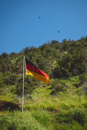 German flag in the breeze in a sunny day over green hills