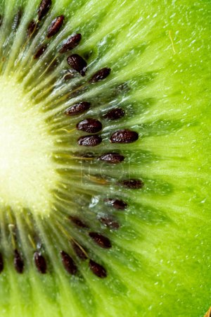 Foto de Kiwi en rodaja.Macro foto de un kiwi con lugar para text.Macro foto de una fruta exótica sobre un fondo aislado.Kiwi anuncio.Hermosa foto de kiwi.Venta de frutas exóticas con espacio de redacción. - Imagen libre de derechos