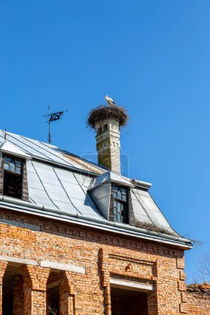 Téléchargez les photos : War Ukraine. War destroyed houses. Ukraine A broken house from a rocket where a stork settled. The stork built a nest on a broken house. War stork. Easts built a nest on a house that was smashed by a rocket. Houses after being destroyed by a rocket. - en image libre de droit