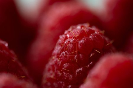 Foto de Raspberry. Raspberrys. Background berry.Fresh berrys.Raspberry with drops.Raspberry macro shot.Red berry.Berry advertisement.Raspberry close-up.Berries macro shot.Raspberries for decoration. Healths - Imagen libre de derechos