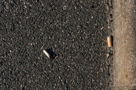 Foto de Gotemburgo, Suecia - 24 de junio de 2021: Dos colillas de cigarrillos sobre asfalto. - Imagen libre de derechos