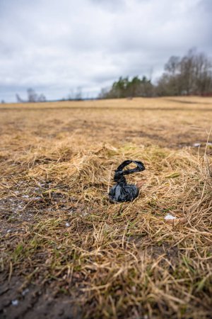 Téléchargez les photos : Un sac de crotte de chien noir dans un champ. - en image libre de droit