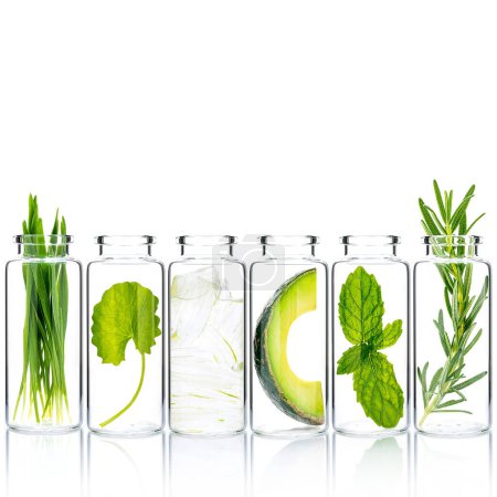 Photo for Homemade skin care with natural ingredients wheat grass ,avocado ,aloe vera ,mint leave ,centella asiatica and rosemary in glass bottles isolate on white background. - Royalty Free Image