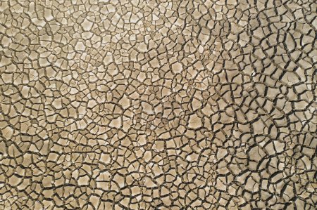 Foto de Textura de tierra agrietada seca del lago Lokvarsko en Gorski kotar, Croacia, vista aérea de drones - Imagen libre de derechos