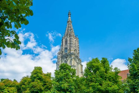 Téléchargez les photos : Cloche du clocher de la cathédrale dans la vieille ville de Berne, Suisse - en image libre de droit