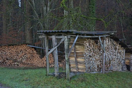 Foto de Firewood is chopped under a canopy in the forest - Imagen libre de derechos