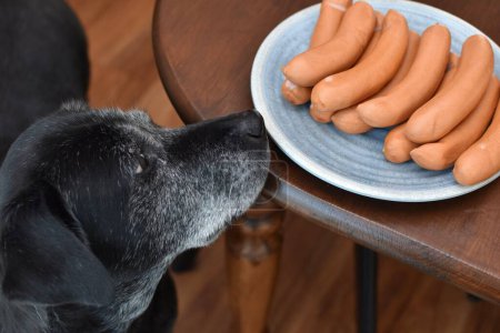 a large black dog stands next to the table with sausages in a plate