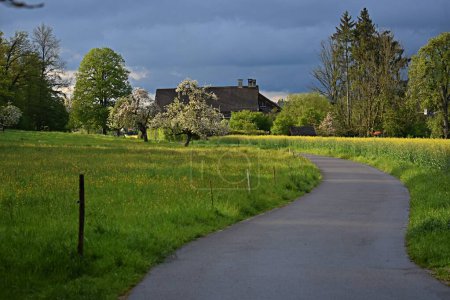 Schmale Straße zwischen zwei grünen Feldern