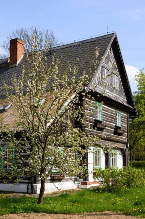 Téléchargez les photos : Ancienne maison à colombages avec pommier en fleurs à Krystofovo Udoli, près de Liberec, République tchèque - en image libre de droit