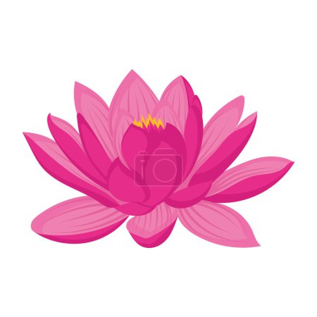 Illustration for Isolated colored lotus flower Vector illustration - Royalty Free Image