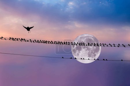 Photo for Full moon landscape and birds. A bird that decides to fly in a flock. Sunset nature background. - Royalty Free Image