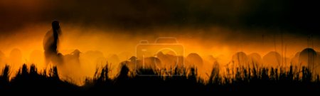 Photo for Silhouettes of a shepherd and his flock at sunset. Sunset background. - Royalty Free Image