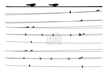 Téléchargez les illustrations : Oiseaux sur fil électrique. Images vectorielles. - en licence libre de droit